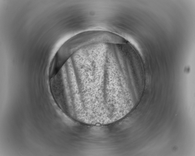 X0000090731480200708101628