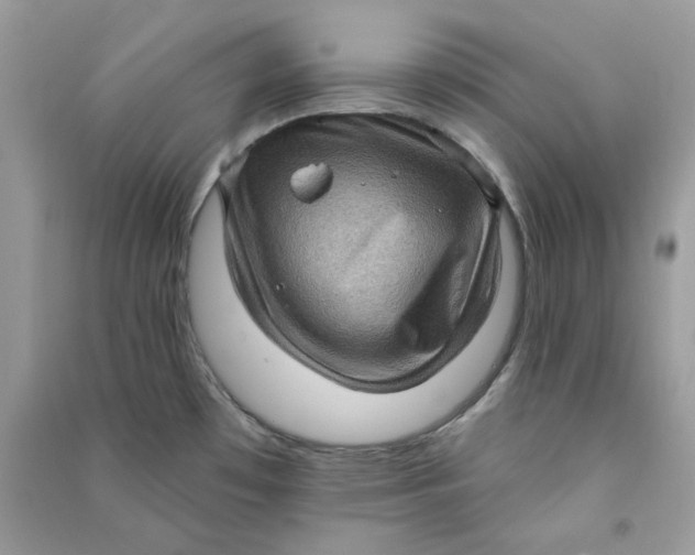 X0000090731481200708101628