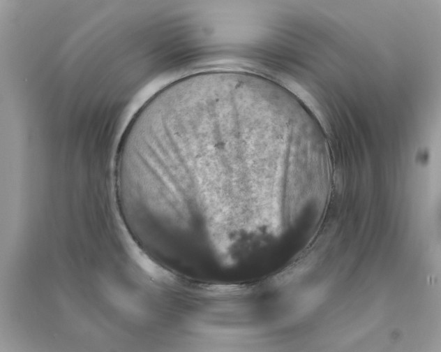 X0000090731482200708101628