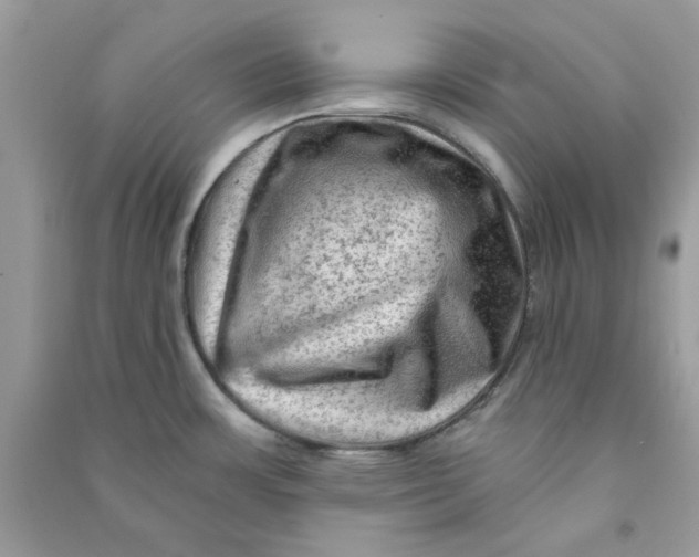 X0000090731483200708101628