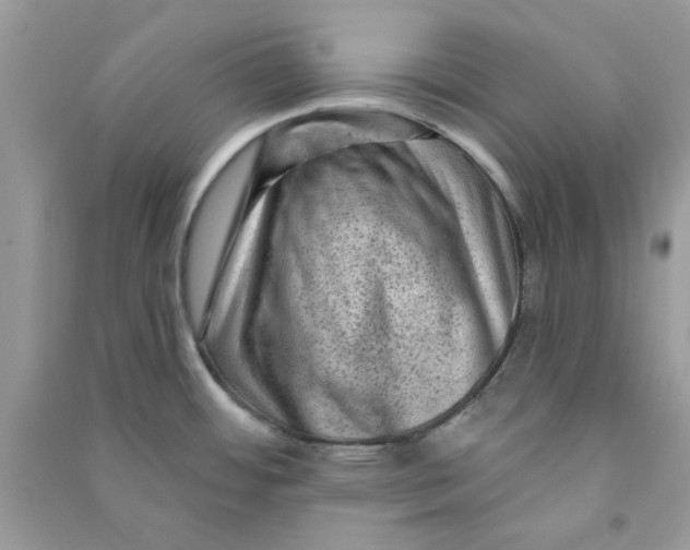 X0000090731484200708101628