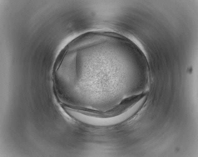 X0000090731485200708101628