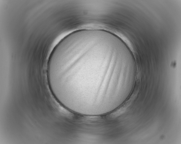 X0000090731486200708101628