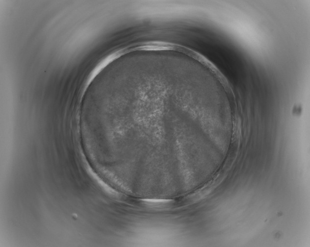 X0000090731487200708101628