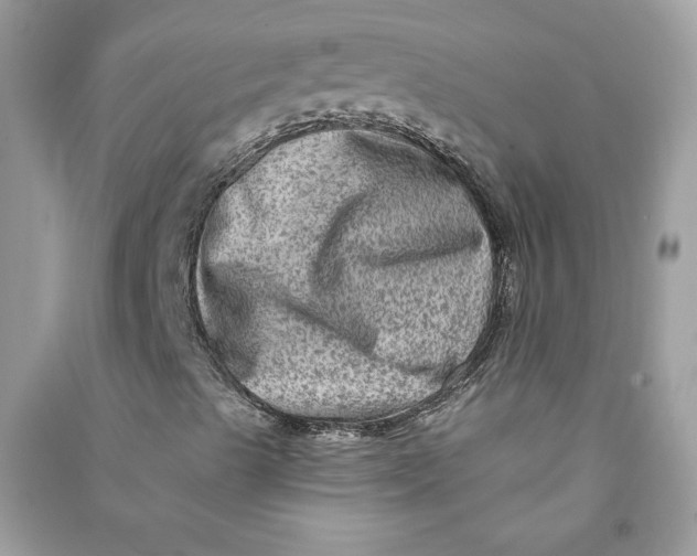 X0000090731489200708101628