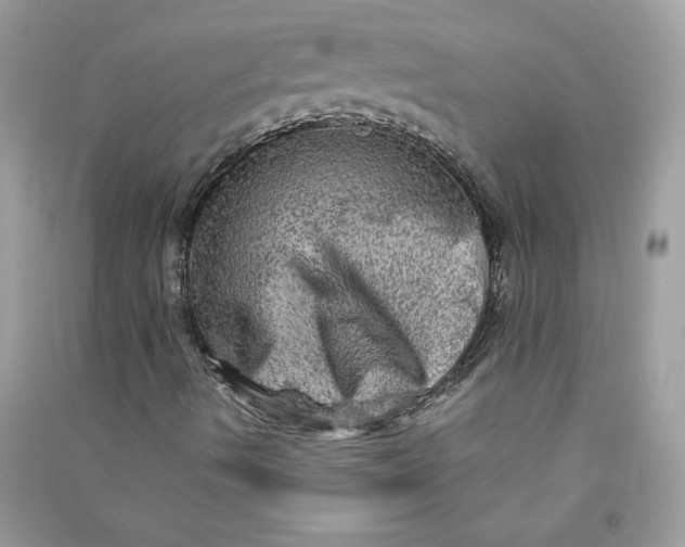 X0000090731490200708101628