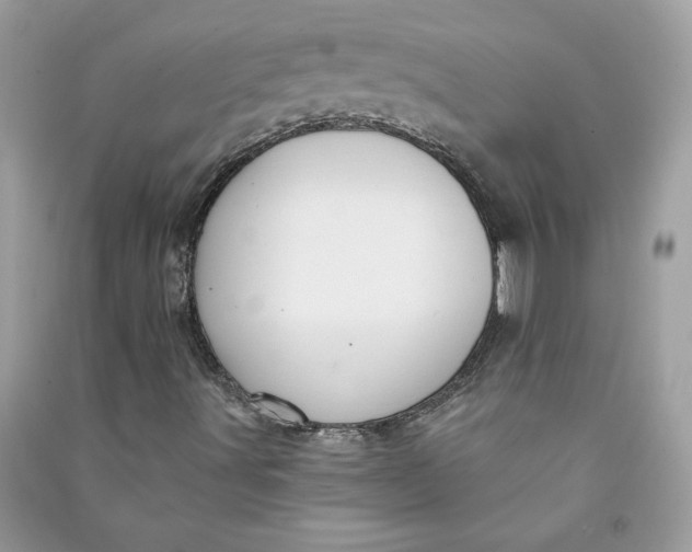 X0000090731491200708101628