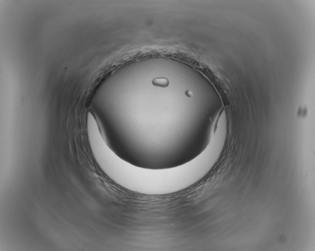 X0000090731492200708101628