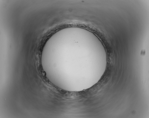 X0000090731493200708101628