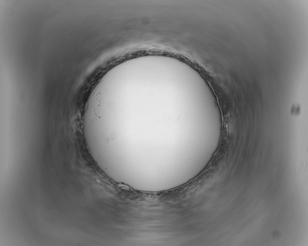 X0000090731495200708101628