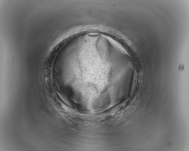 X0000090731496200708101628