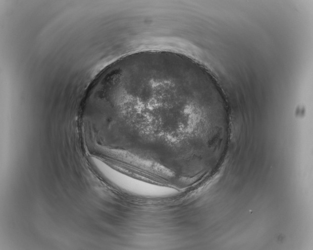 X0000090731497200708101628