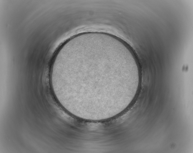 X0000090731498200708101628