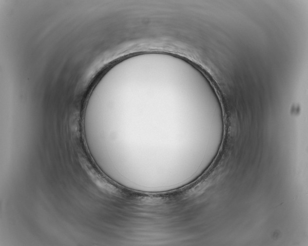 X0000090731499200708101628