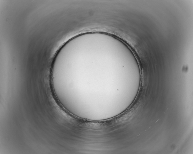 X0000090731500200708101628