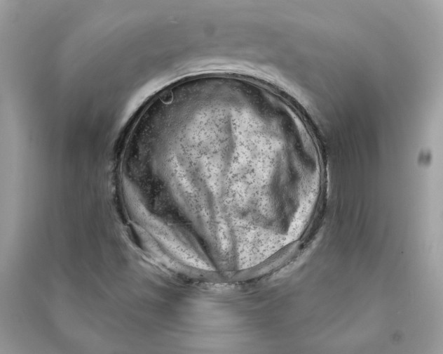 X0000090731501200708101628