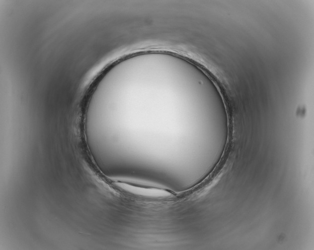 X0000090731502200708101628