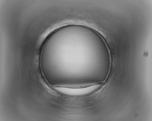 X0000090731503200708101628