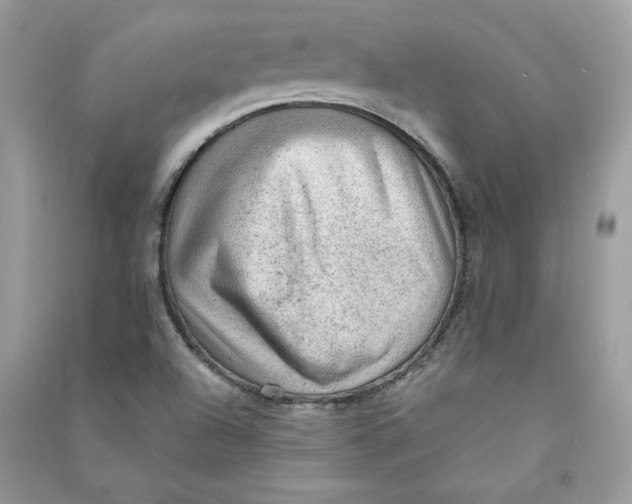 X0000090731504200708101628