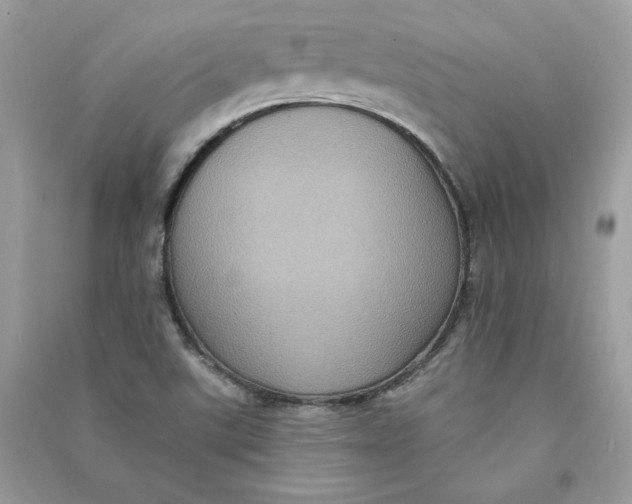 X0000090731507200708101628