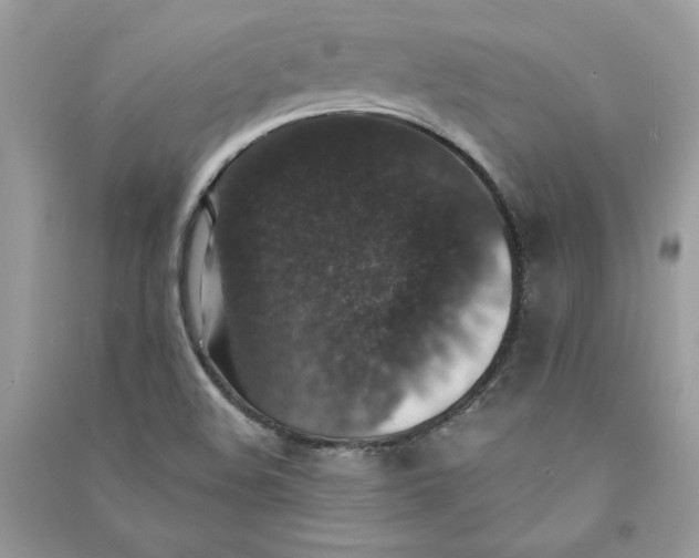 X0000090731508200708101628