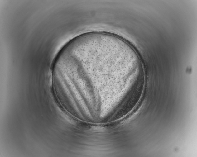 X0000090731509200708101628