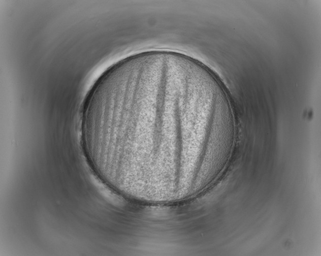 X0000090731511200708101628