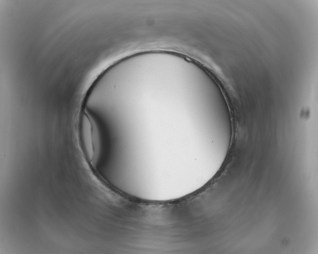 X0000090731512200708101628