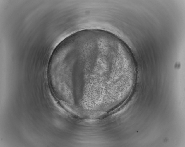 X0000090731513200708101628