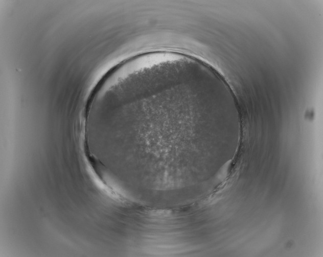 X0000090731515200708101628