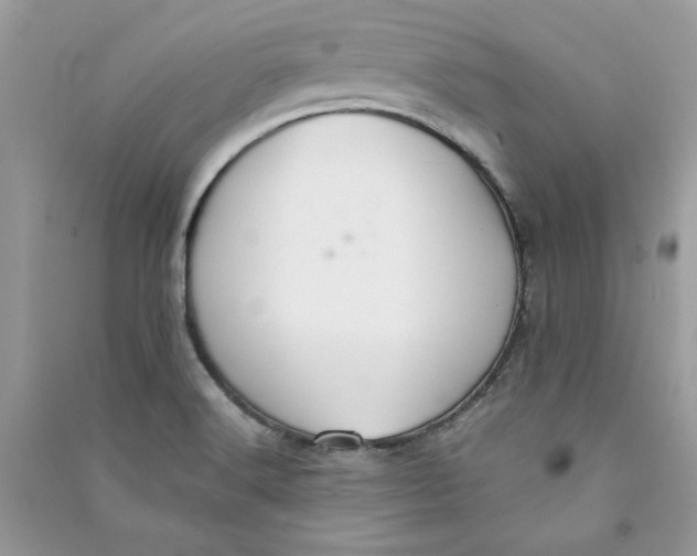 X0000090731516200708101628