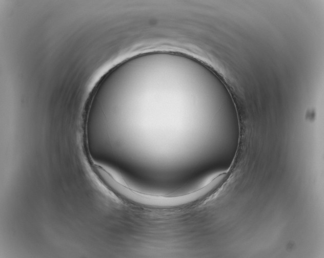 X0000090731518200708101628