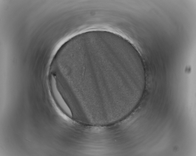 X0000090731519200708101628