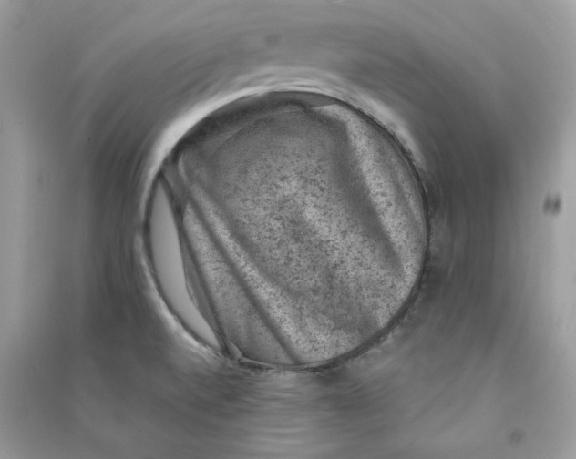 X0000090731520200708101628