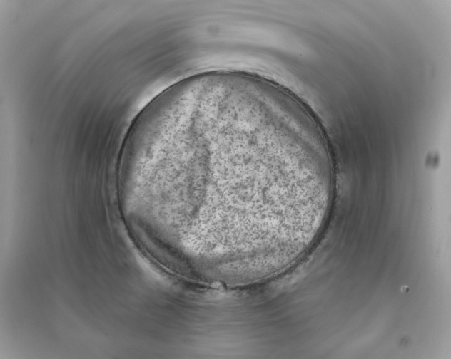 X0000090731521200708101628