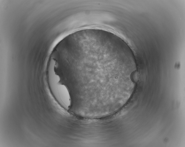 X0000090731522200708101628