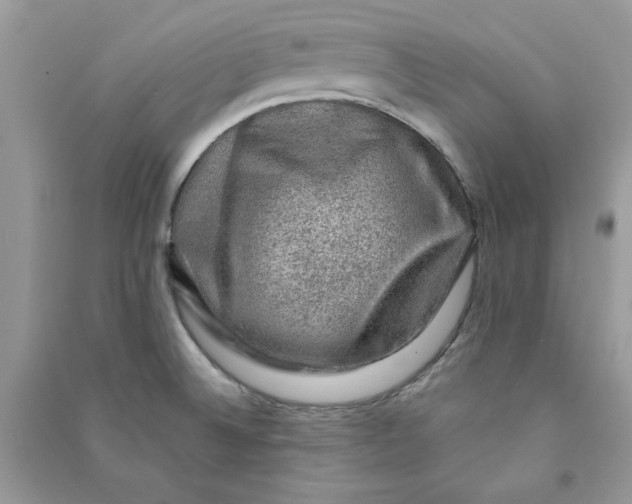 X0000090731524200708101628