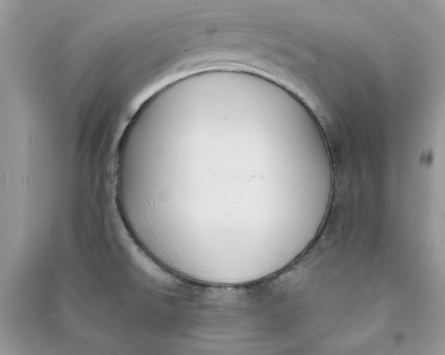 X0000090731526200708101628