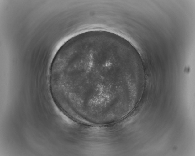 X0000090731527200708101628