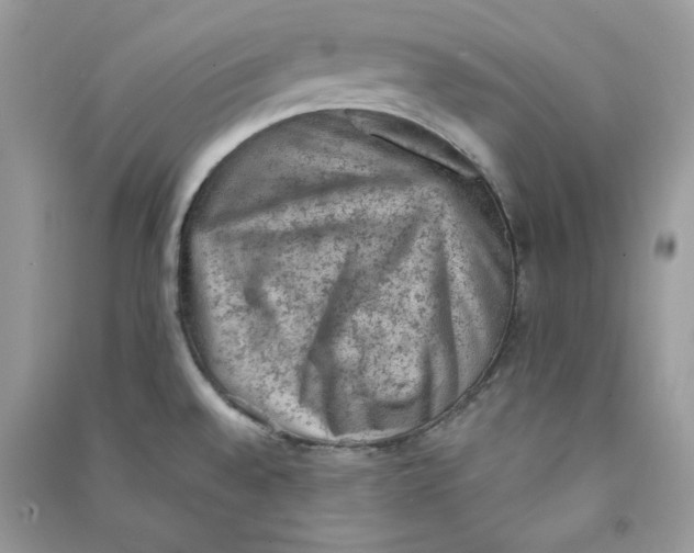 X0000090731528200708101628