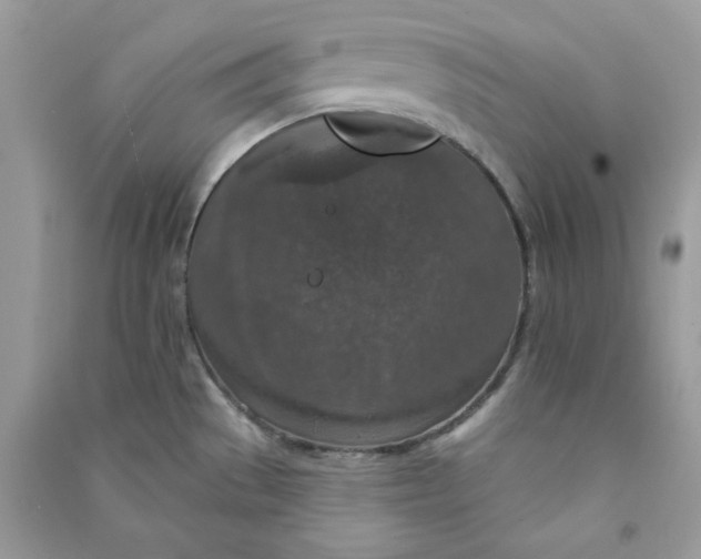 X0000090731529200708101628