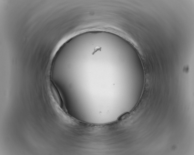 X0000090731530200708101628