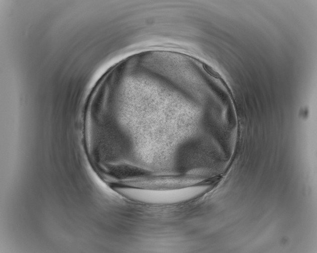 X0000090731531200708101628