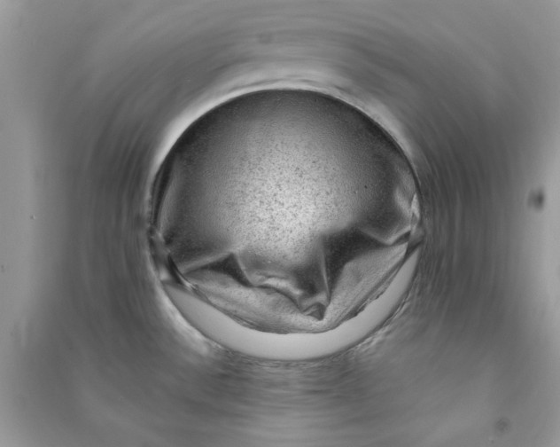 X0000090731532200708101628