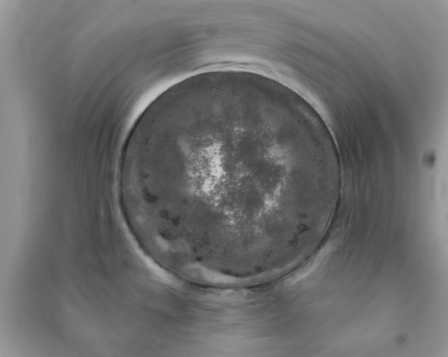 X0000090731533200708101628