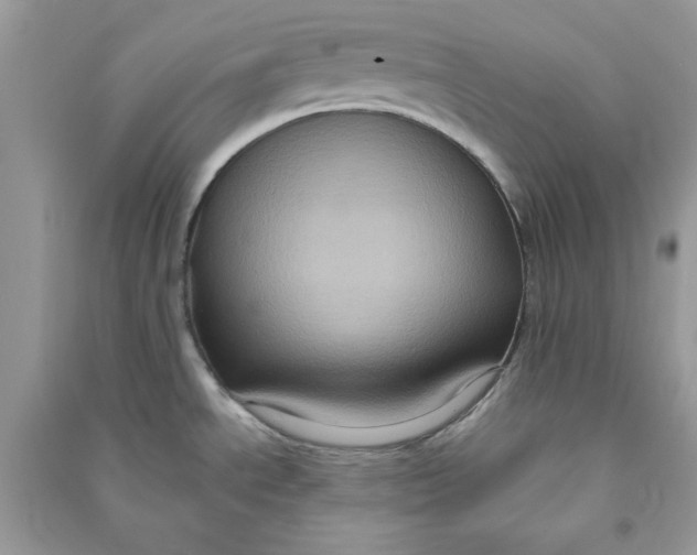 X0000090731534200708101628