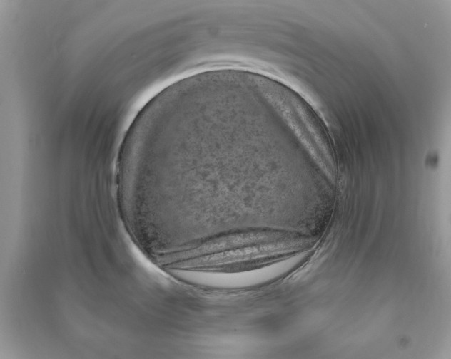 X0000090731535200708101628