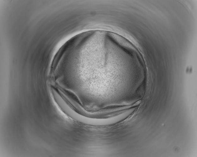 X0000090731536200708101628