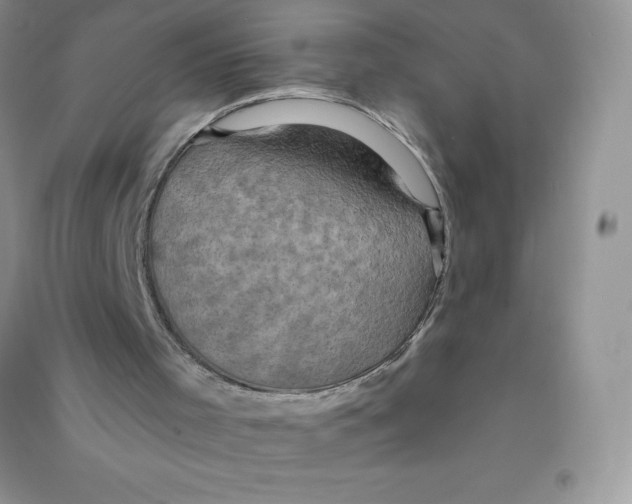 X0000090730001200708171956