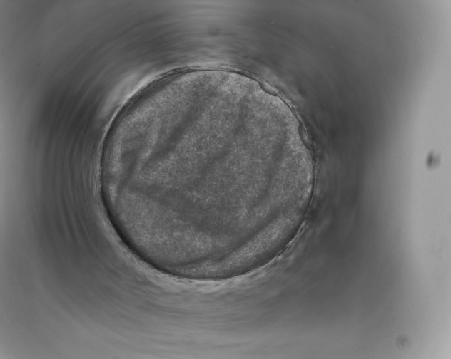 X0000090730002200708171956